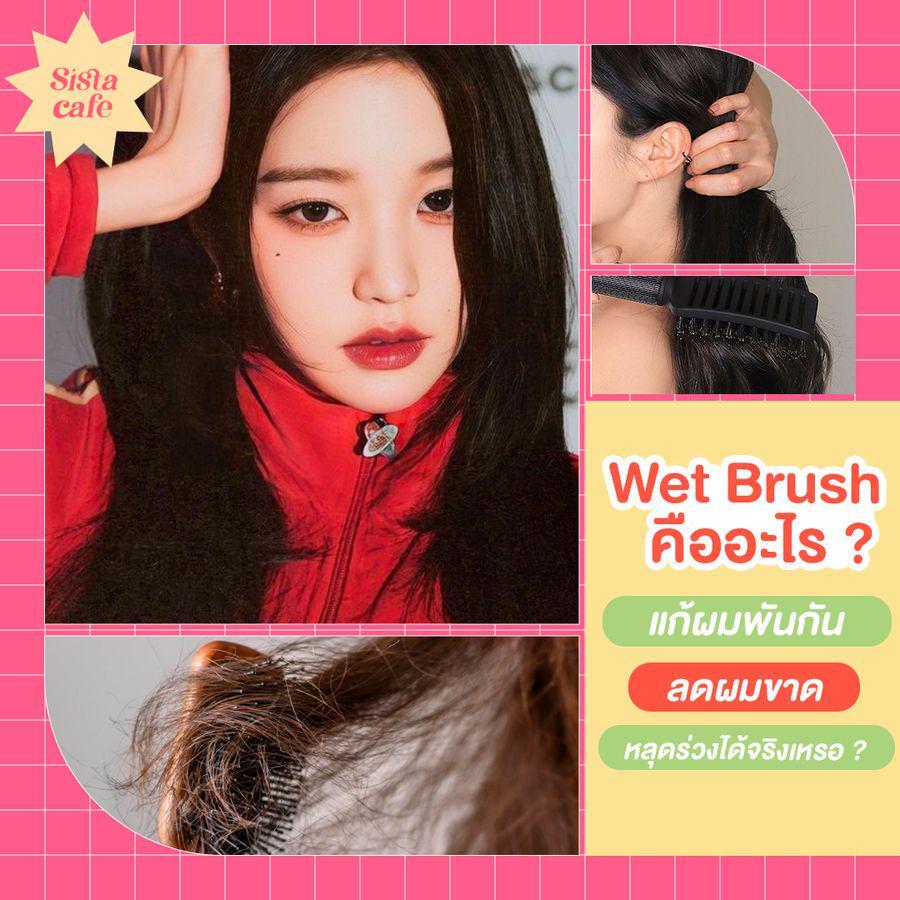 ภาพประกอบบทความ Wet Brush แปรงหวีคืออะไร ?แก้ผมพันกัน ลดผมขาดหลุดร่วงง่ายได้จริงเหรอ ?