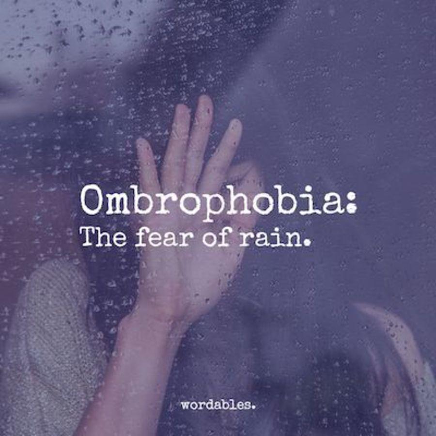 ตัวอย่าง ภาพหน้าปก:โรคกลัวฝน พาทำความรู้จัก Ombrophobia คืออะไร ? พร้อมวิธีรับมือเมื่อต้องเผชิญ