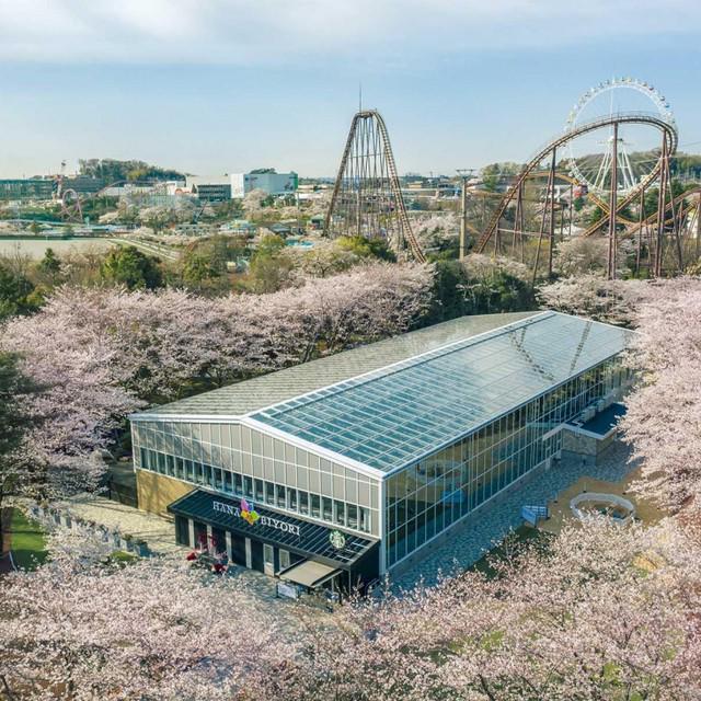 ภาพประกอบบทความ พาเที่ยวสวนพฤกษศาสตร์แห่งใหม่ในโตเกียว! เมื่อ Digital Art มาเจอกับดอกไม้ ที่ Hana-Biyori