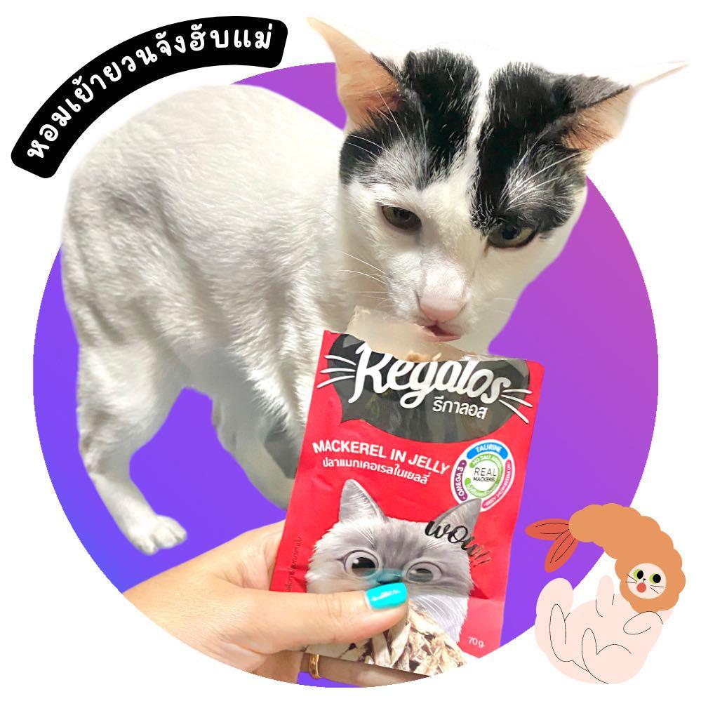ภาพหน้าปก Regalos อาหารแมวที่คนรักแมวเลือก ที่:2
