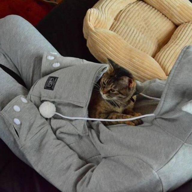 ภาพประกอบบทความ เสื้อฮู้ดสำหรับคนรักแมว 'Mewgaroo' （≧∪≦☆）