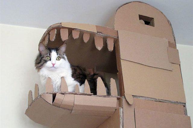 รูปภาพ:http://static.boredpanda.com/blog/wp-content/uploads/2016/12/cardboard-ark-structure-cat-prefabcat-8.jpg