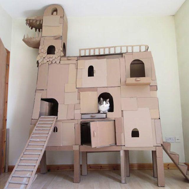 ตัวอย่าง ภาพหน้าปก:DIY สุดสร้างสรรค์ นำกระดาษแข็งมาสร้างเป็นบ้านให้แมว!