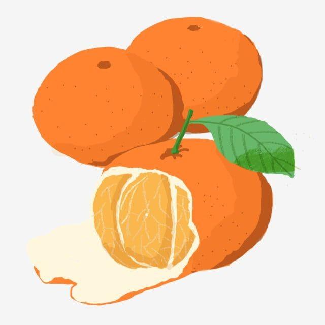รูปภาพ:ผลไม้แคลต่ำส้ม