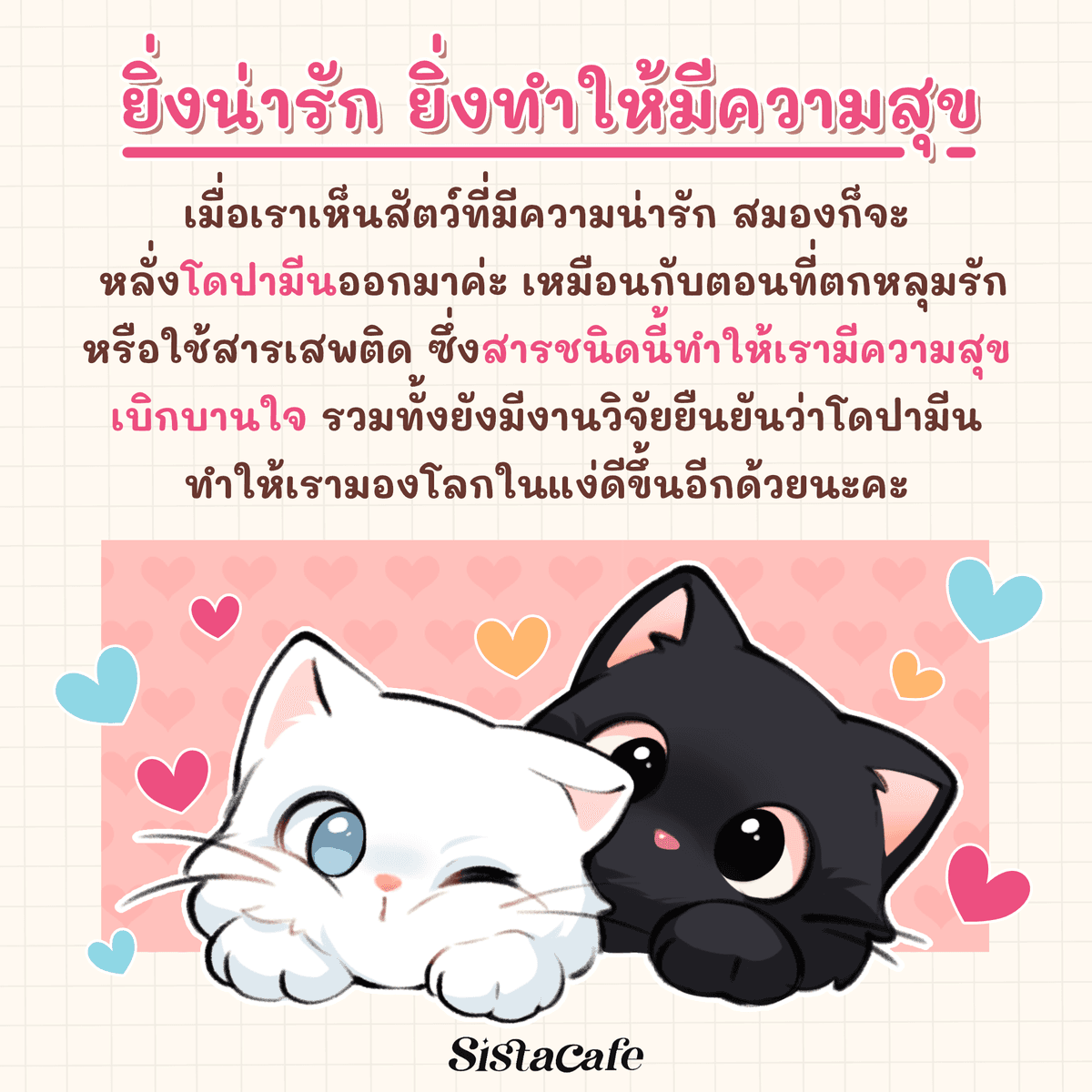 รูปภาพ: