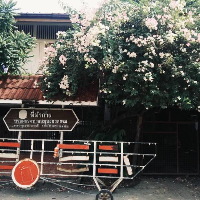 ภาพประกอบบทความ Lost in Samut Songkhram หลงแบบตั้งใจไปในจังหวัดสุดฮิป