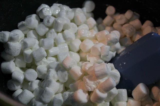 รูปภาพ:http://jenaroundtheworld.com/wp-content/uploads/2016/03/Melting-marshmallows-for-lego-rice-krispie-treats.jpg