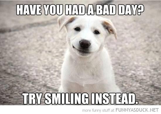 รูปภาพ:http://funnyasduck.net/wp-content/uploads/2013/05/funny-happy-dog-bad-day-try-smiling-pics.jpg