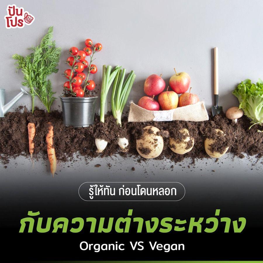 ภาพประกอบบทความ รู้ให้ทัน ก่อนโดนหลอก กับความต่างระหว่าง Organic VS Vegan