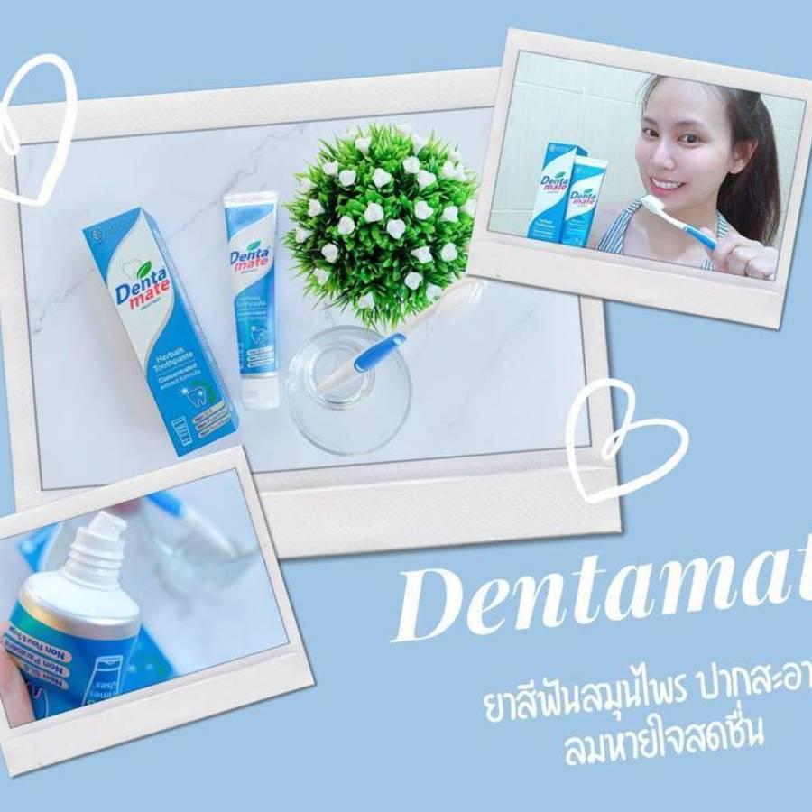 ภาพประกอบบทความ ยาสีฟันสมุนไพร Dentamate ปากสะอาด ลมหายใจสดชื่น
