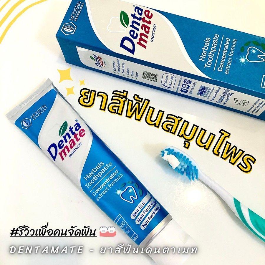 ภาพประกอบบทความ Dentamate ยาสีฟันสมุนไพรไทย แก้ปัญหาฟันเหลืองตัวช่วยเพื่อคนจัดฟัน