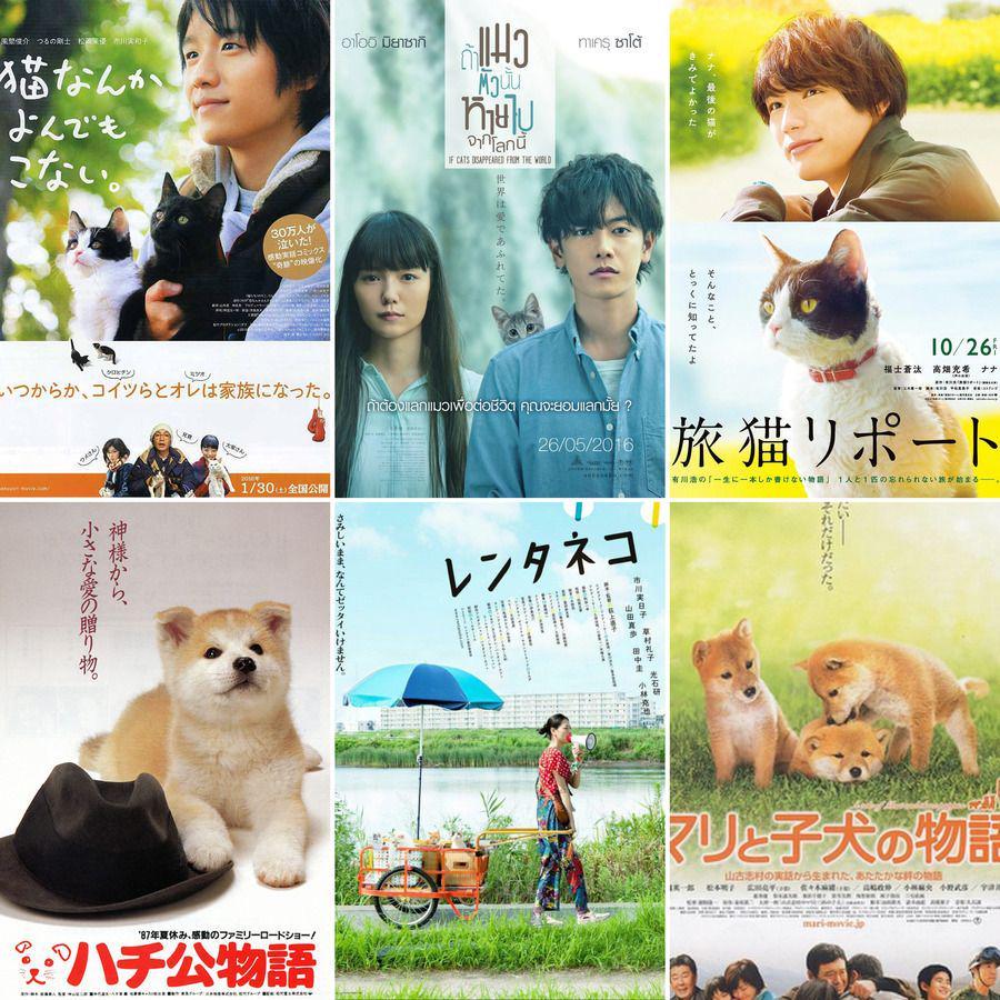 ตัวอย่าง ภาพหน้าปก:ใจเหลวไปหมดแล้ว~ รวม 7 ภาพยนตร์ญี่ปุ่นที่ทาสแมว / คนรักสุนัขไม่ควรพลาด ดูจบแล้วประทับใจหนักมาก 🐶