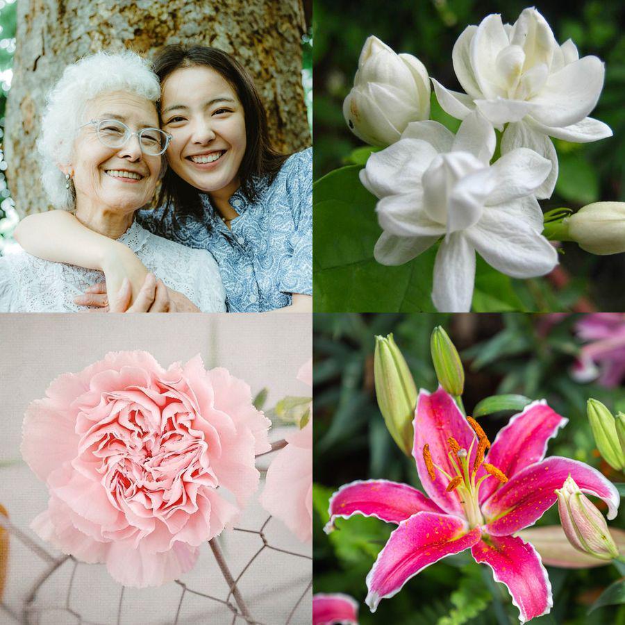 ภาพประกอบบทความ ไม่ใช่แค่ดอกมะลิ 🌼 รวม ‘ ดอกไม้แทนใจให้แม่ ’ จัดช่อสวย แถมความหมายดี๊ดี  