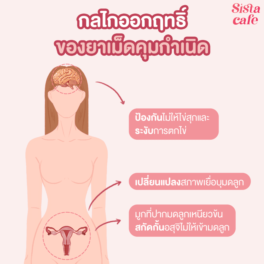 รูปภาพ: