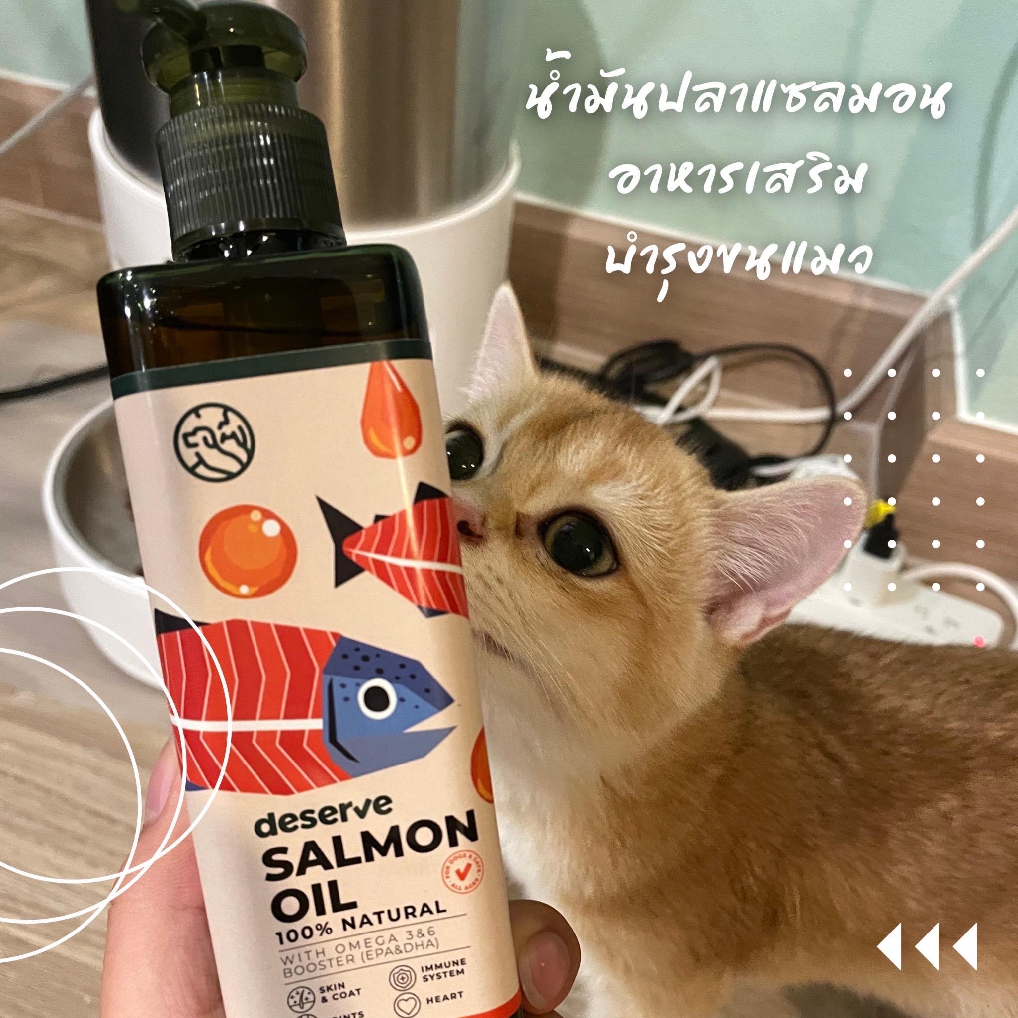 ภาพหน้าปก รีวิว Salmon Oil น้ำมันปลาแซลมอนบำรุงขนแมว 🐱🥰 ที่:0