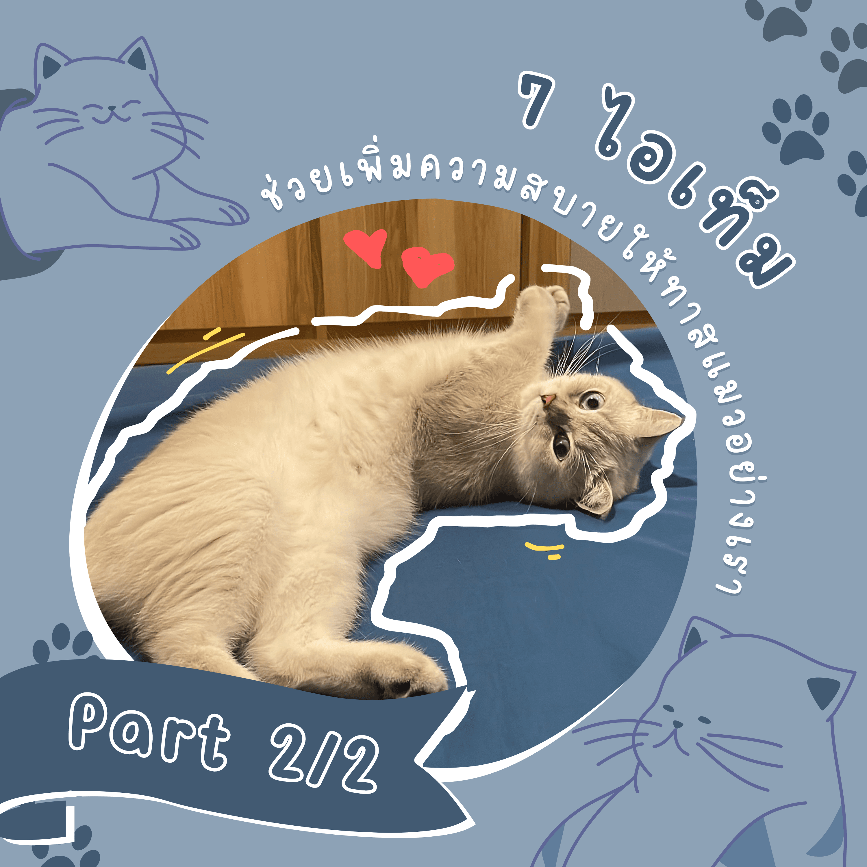 ภาพหน้าปก 7 ไอเท็มช่วยเพิ่มความสบายให้ทาสแมวอย่างเรา (Part 2/2) ที่:0