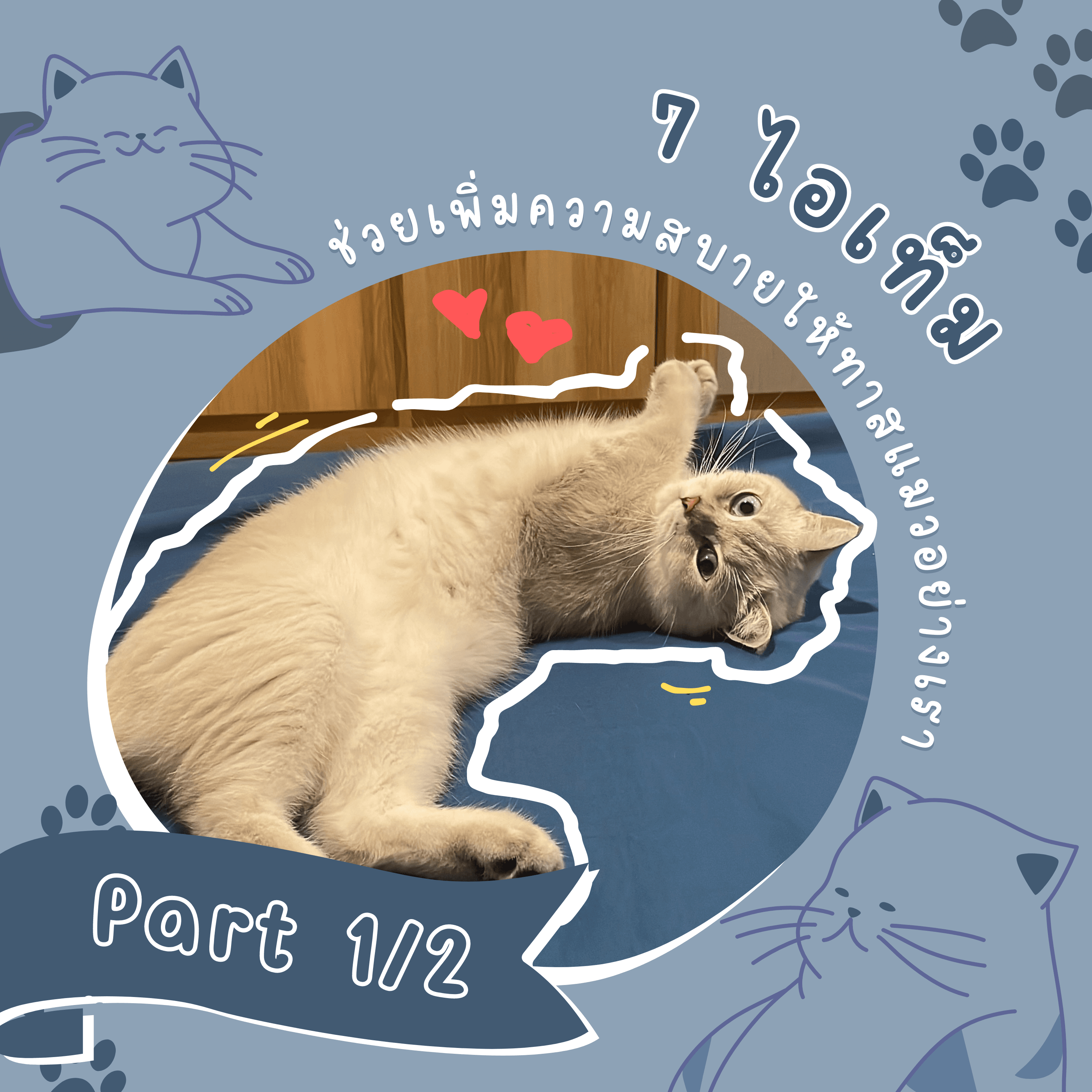 ภาพหน้าปก 7 ไอเท็มช่วยเพิ่มความสบายให้ทาสแมวอย่างเรา (Part 1/2) ที่:0