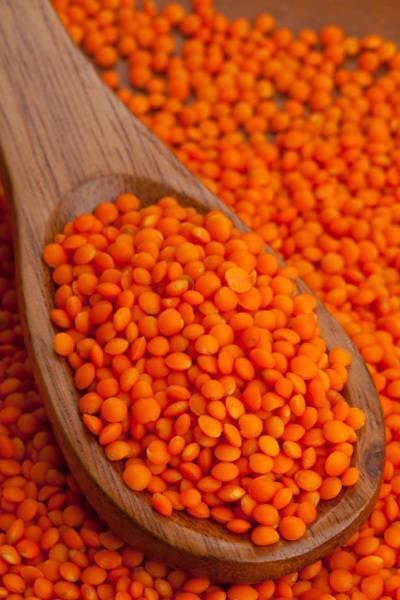 รูปภาพ:http://www.metatrontrading.com/products/orange-lentils.jpg
