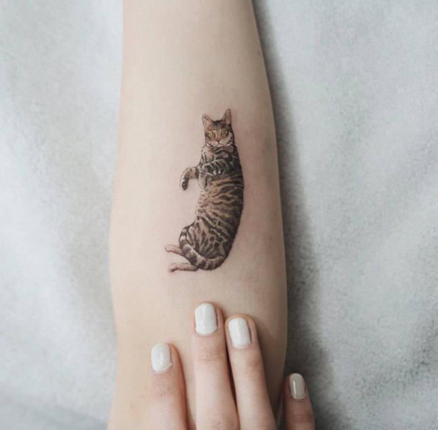รูปภาพ:http://tattooblend.com/wp-content/uploads/2016/03/realistic-cat-tattoo-design.jpg