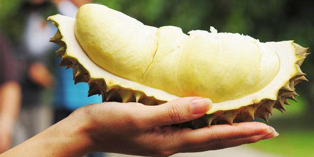 รูปภาพ:http://cdn.klimg.com/vemale.com/headline/650x325/2012/09/manfaat-durian-kulit-jadi-halus-dan-kuatkan-tulang.jpg