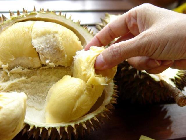 รูปภาพ:https://sydneyfong.files.wordpress.com/2013/07/durian-fruit-thai-www-thingsidigg-com.jpg