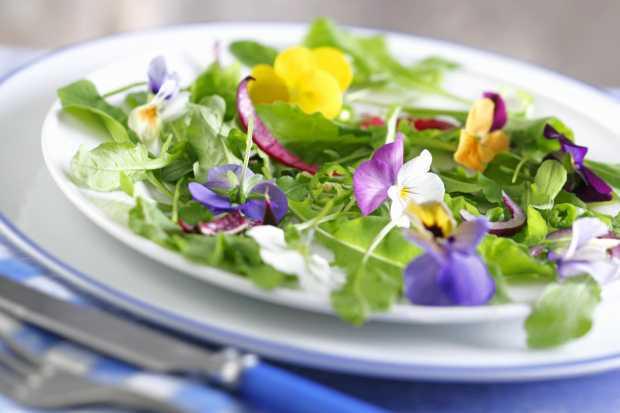 รูปภาพ:http://ghk.h-cdn.co/assets/cm/15/11/54ff8b1ed122d-ghk-edible-flowers-plate-de.jpg