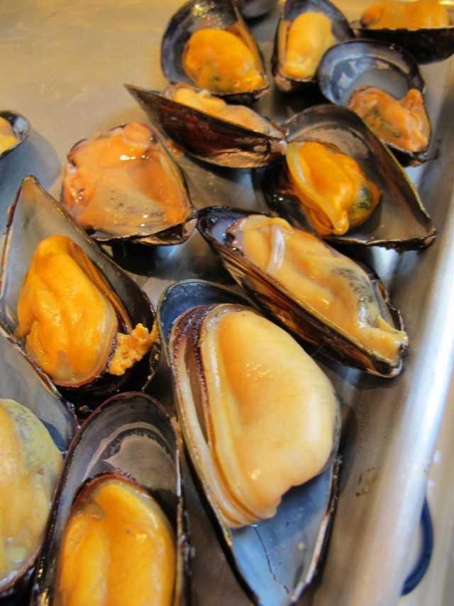 รูปภาพ:http://sc02.alicdn.com/kf/HTB1LTC3KVXXXXcWXFXXq6xXFXXX7/Live-Scottish-mussels.jpg