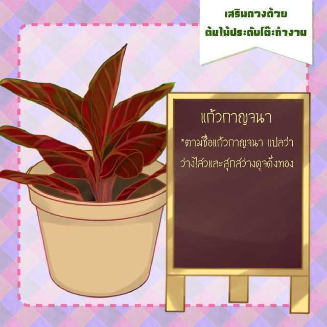 รูปภาพ: