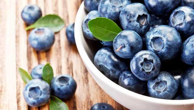 รูปภาพ:http://www.blueberrycouncil.org/wp-content/uploads/Bowl-of-blueberries-1836.jpg