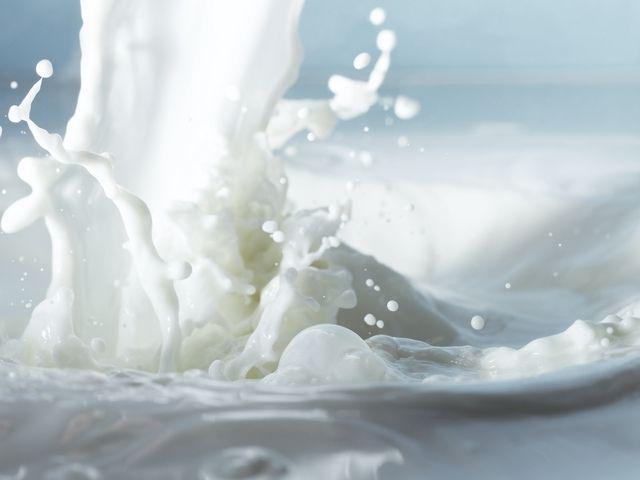 รูปภาพ:http://www.a2a2milk.com/wp-content/uploads/2013/01/close-up_white_milk_spray_liquid_4379_1600x1200.jpg