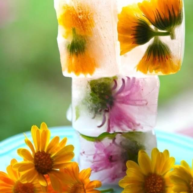 ภาพประกอบบทความ D.I.Y ไอเดียเพิ่มกิมมิกให้เครื่องดื่มด้วย ' น้ำแข็งดอกไม้ '
