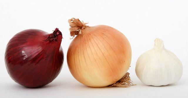 รูปภาพ:https://www.certapet.com/wp-content/uploads/2015/09/can-dogs-eat-onions-or-garlic.jpg