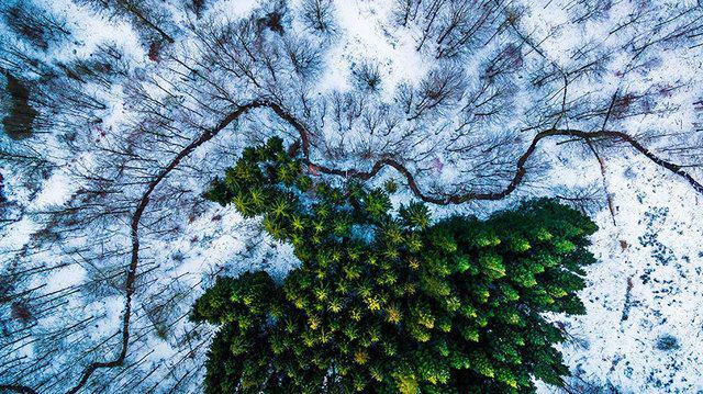 รูปภาพ:http://static.boredpanda.com/blog/wp-content/uploads/2016/07/best-drone-photography-2016-dronestagram-contest-8-5783ac87ae38c__880.jpg