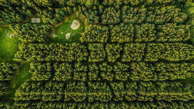 รูปภาพ:http://static.boredpanda.com/blog/wp-content/uploads/2016/07/best-drone-photography-2016-dronestagram-contest-16-5783b6d727e0e__880.jpg