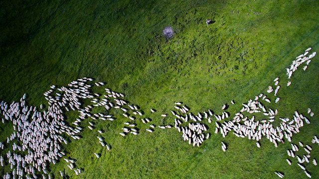 รูปภาพ:http://static.boredpanda.com/blog/wp-content/uploads/2016/07/best-drone-photography-2016-dronestagram-contest-3-5783ac79c0313__880.jpg