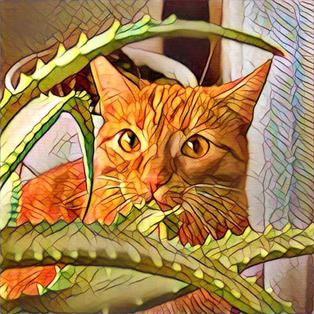 รูปภาพ:http://static.boredpanda.com/blog/wp-content/uploads/2016/07/prisma-app-turn-photos-into-paintings-v15.jpg