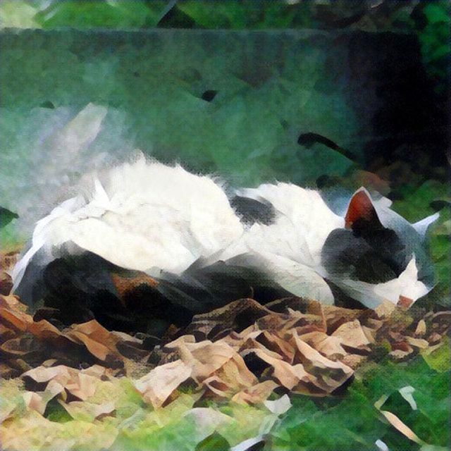 รูปภาพ:http://static.boredpanda.com/blog/wp-content/uploads/2016/07/prisma-app-turn-photos-into-paintings-v37.jpg