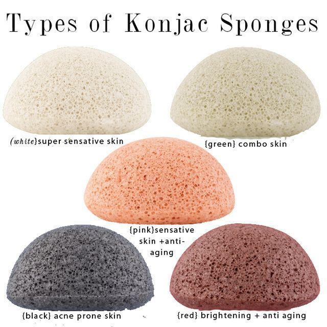 รูปภาพ:http://citizensofbeauty.com/wp-content/uploads/2015/01/types-of-konjac-sponges-copy.jpg