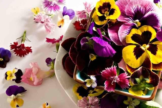 รูปภาพ:http://harmoniamarin.com/blog/wp-content/uploads/2012/05/mixed-edible-flowers-chefs-garden.jpg