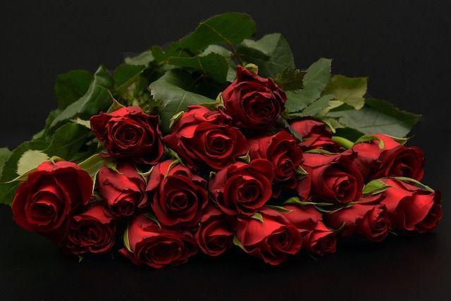 รูปภาพ:https://pixabay.com/static/uploads/photo/2016/02/13/17/41/roses-1198275_960_720.jpg