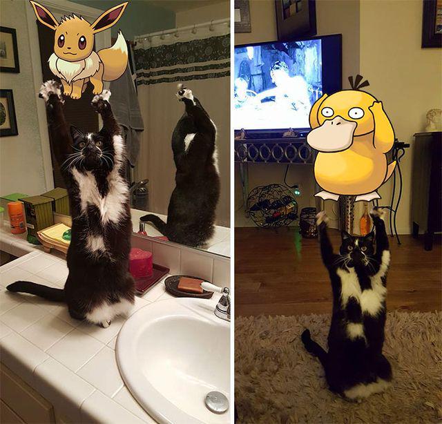 รูปภาพ:http://static.boredpanda.com/blog/wp-content/uploads/2016/08/eevee_psyduck-57a0fd01c8a1f__700.jpg