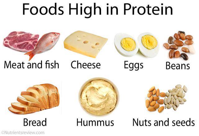 รูปภาพ:http://www.nutrientsreview.com/wp-content/uploads/2015/07/High-protein-foods.jpg