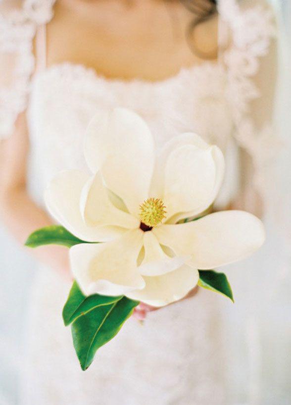 รูปภาพ:http://www.colincowieweddings.com/mediafiles/upload/single_flower_bouquet_ideas_05/single-flower-bouquet-ideas-05_detail.jpg