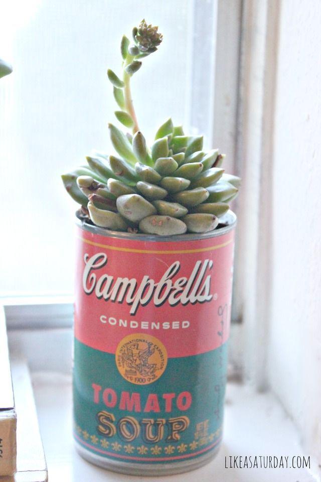 รูปภาพ:http://likeasaturday.com/wp-content/uploads/2013/03/campbells-succulents-5.jpg