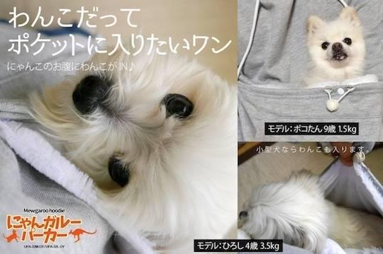 รูปภาพ:http://www.japantrendshop.com//img/unihabitat/mewgaroo-hoodie-cat-pouch-snuggle-cuddle-clothes-5.jpg