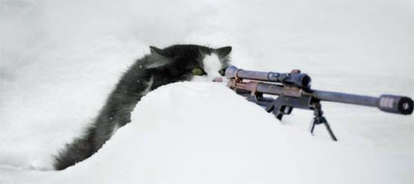 รูปภาพ:http://media.boreme.com/post_media/2007/snow-cat-gunner.jpg