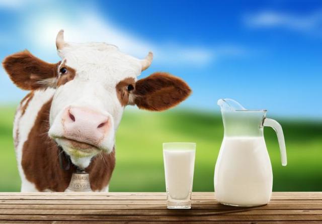 รูปภาพ:http://cdn1.medicalnewstoday.com/content/images/articles/296/296564/cow-and-a-jug-of-milk.jpg