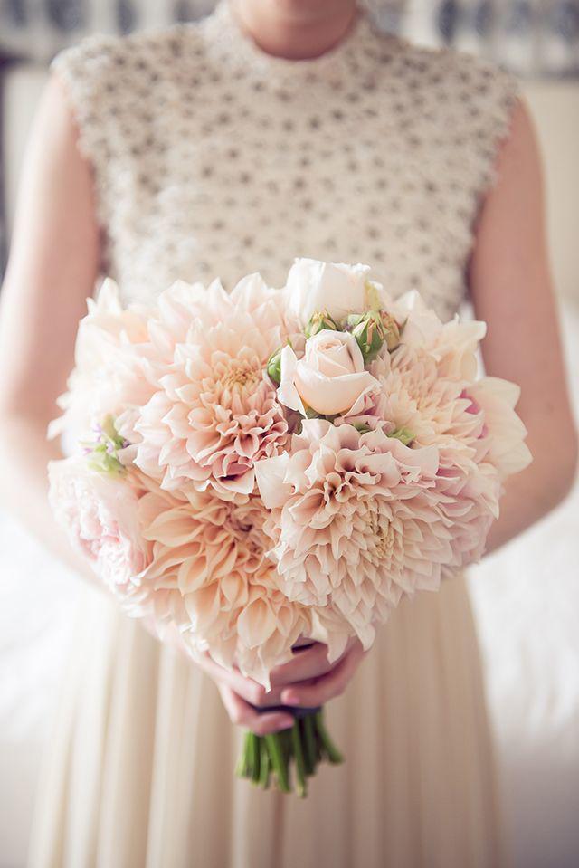 รูปภาพ:http://www.deerpearlflowers.com/wp-content/uploads/2015/06/blush-Dahlia-Wedding-Bouquet.jpg