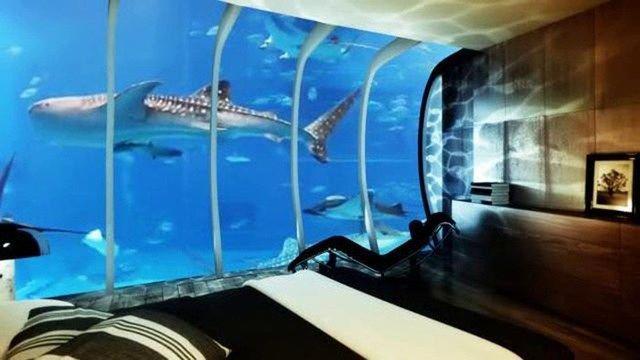 รูปภาพ:http://i2.wp.com/ecowastribune.com/wp-content/uploads/2014/10/Africa%E2%80%99s-First-Underwater-Hotel-Opens-In-Tanzania-2.jpg