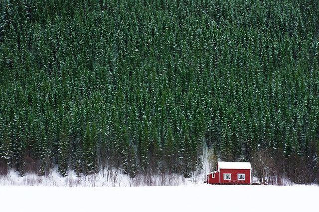 รูปภาพ:http://static.boredpanda.com/blog/wp-content/uploads/2016/08/cozy-cabins-in-the-woods-001-57c56cc521a52__880.jpg